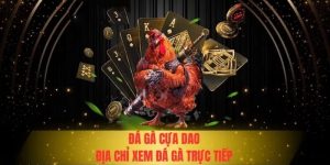 Trực Tiếp Đá Gà Cựa Dao – Kinh Nghiệm Tham Gia Cho Tân Thủ